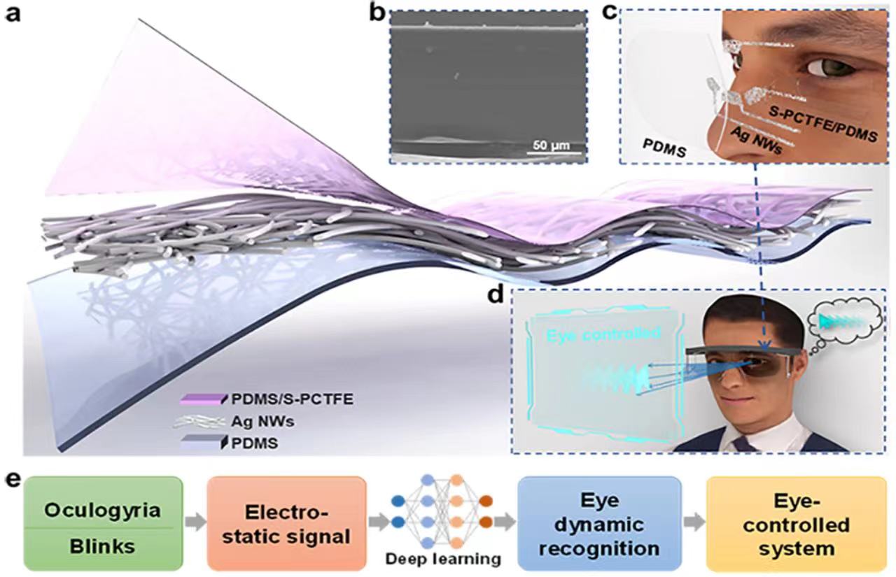 領(lǐng)智三維3D面部掃描設(shè)備輔助非接觸眼動(dòng)追蹤技術(shù)的研究